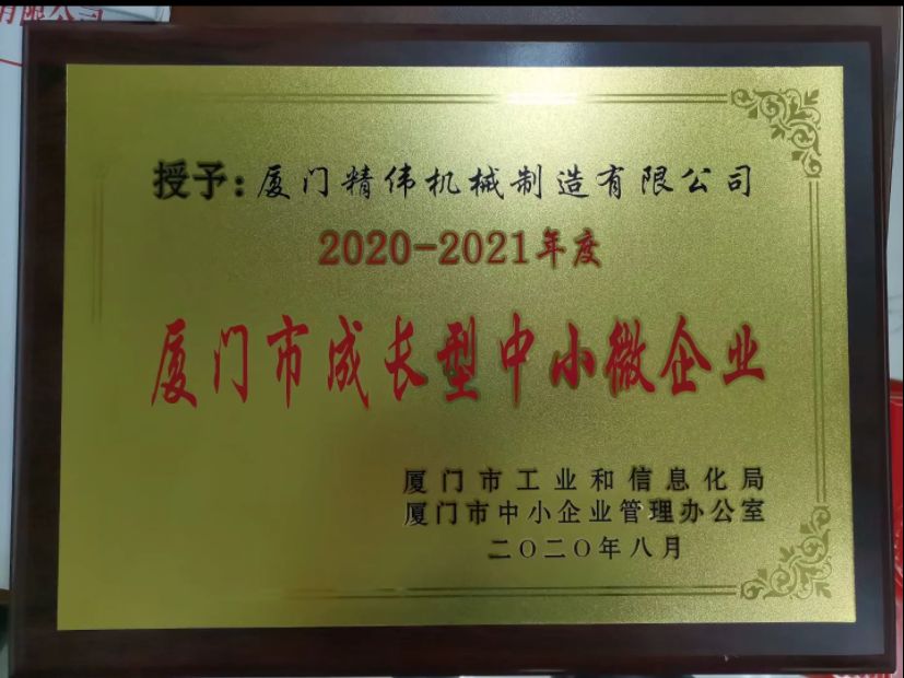 成長(zhang)型中小(xiao)微企業(ye)2020-2021